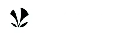 Jiosaavn